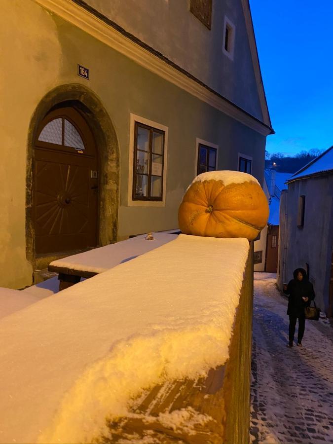 Cesky Krumlov Centrum Ap 6 Экстерьер фото